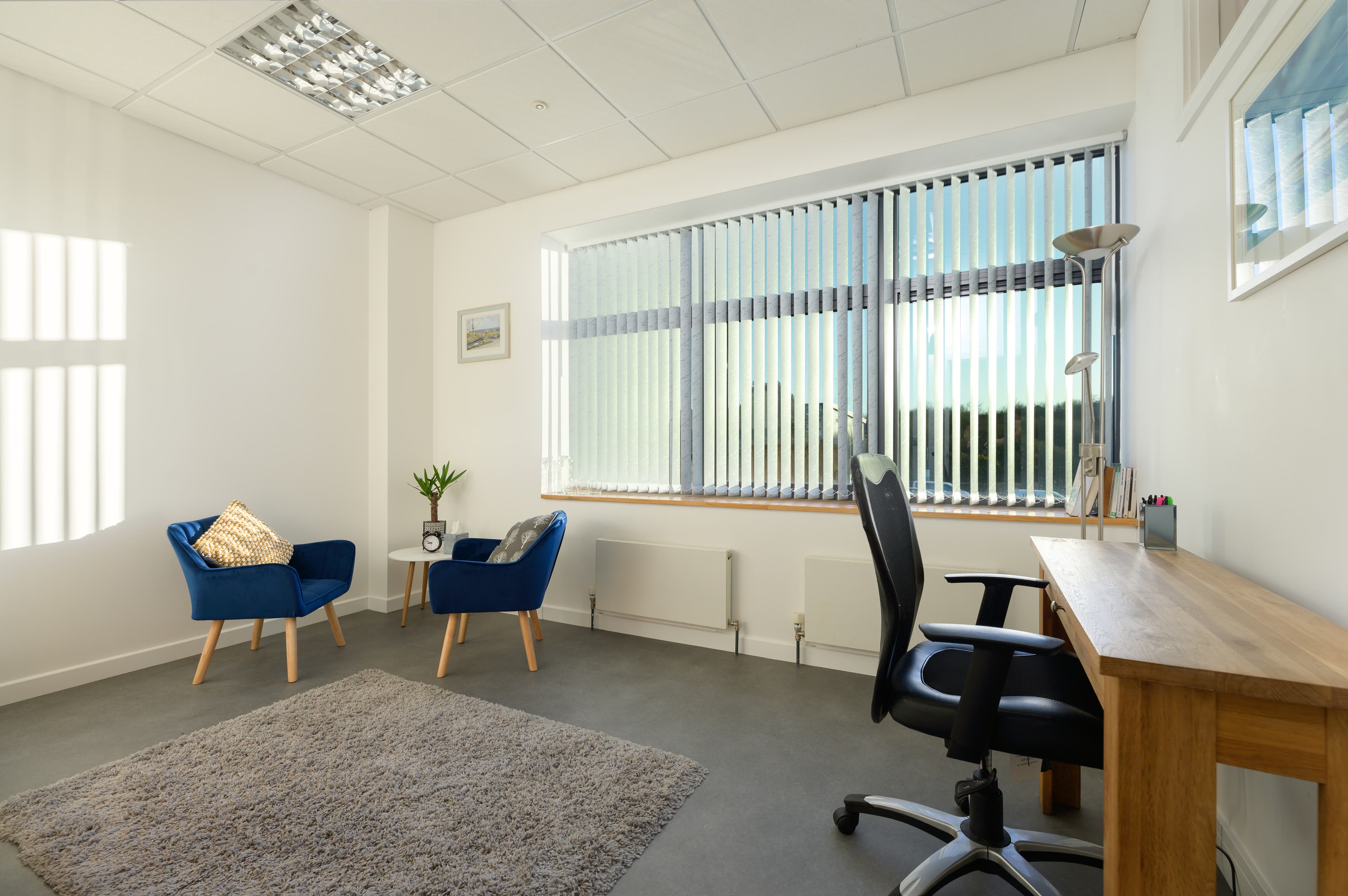 Councelling sofa and place